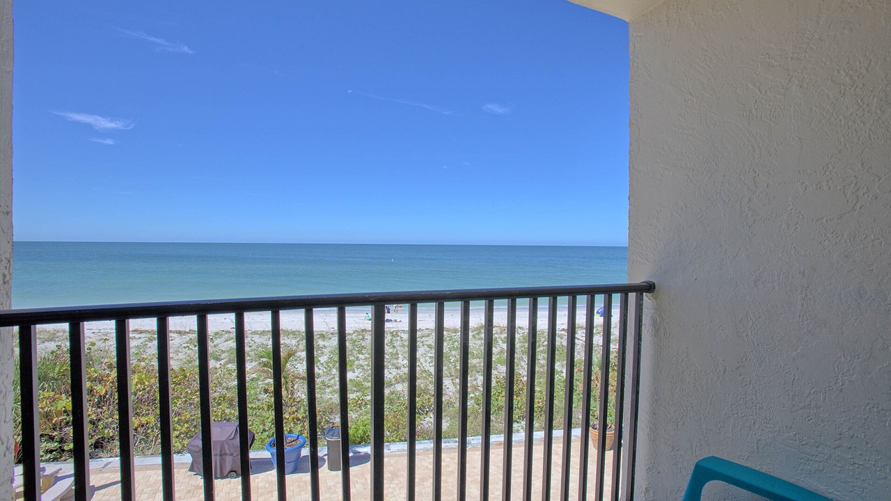 Photo of Outdoor in Belleair Beach