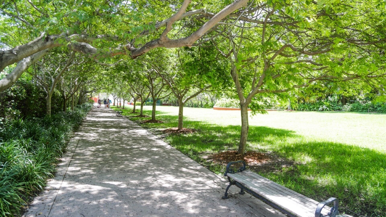 Photo of Outdoor in Key Biscayne
