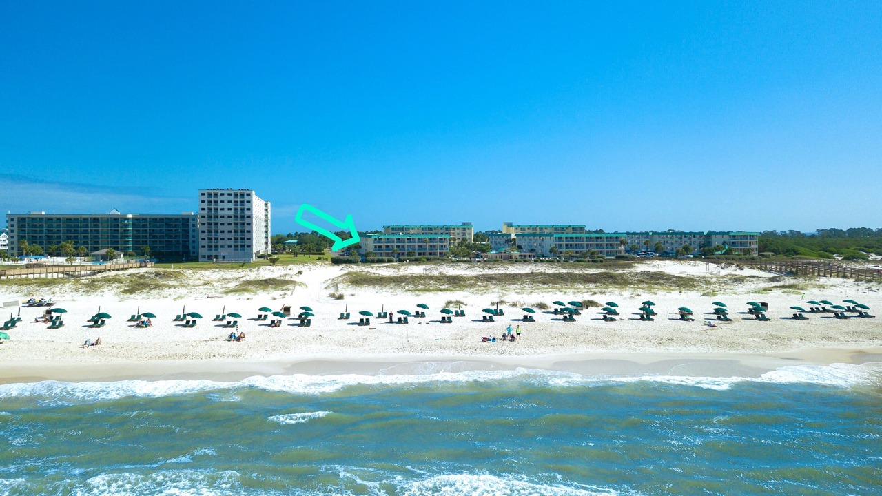 Photo of Others in Alabama Gulf Coast