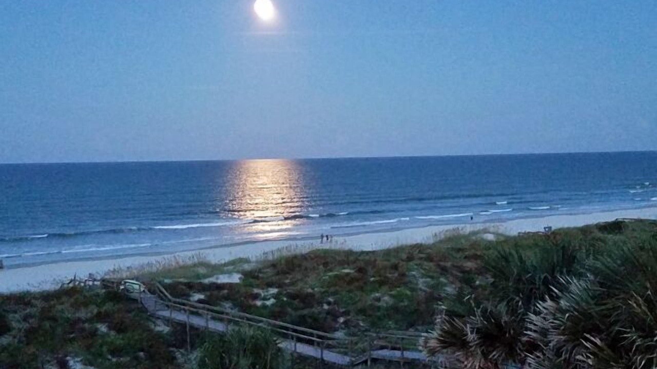 Photo of Others in Crescent Beach