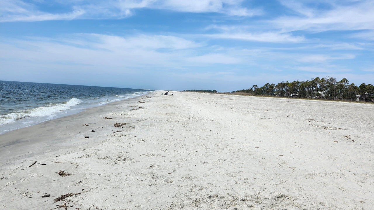 Photo of Others in Dauphin Island