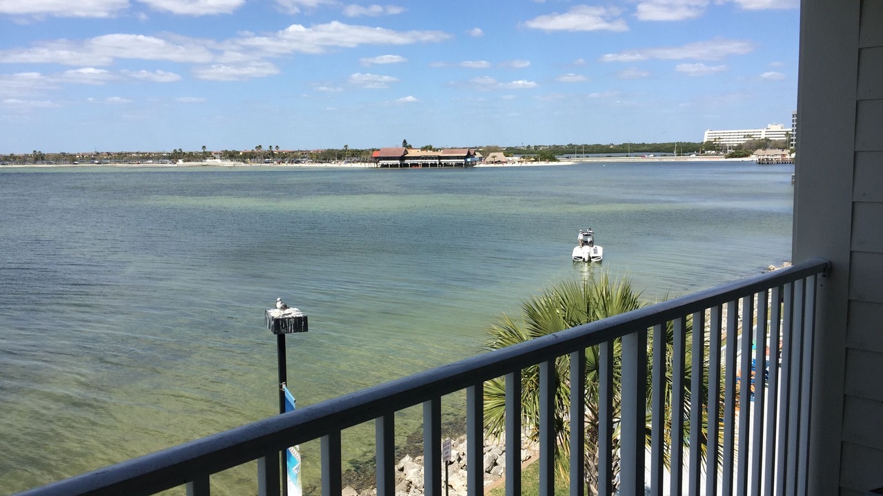 Photo of Outdoor in Rocky Point