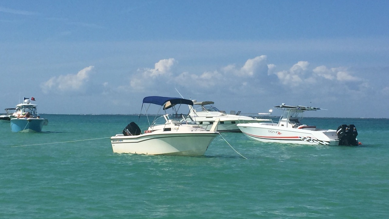Photo of Others in Rocky Point