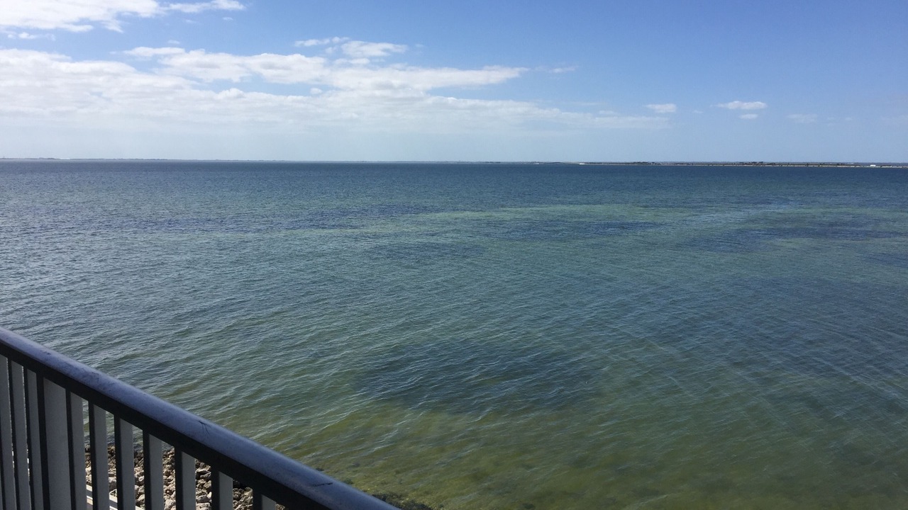 Photo of Outdoor in Rocky Point