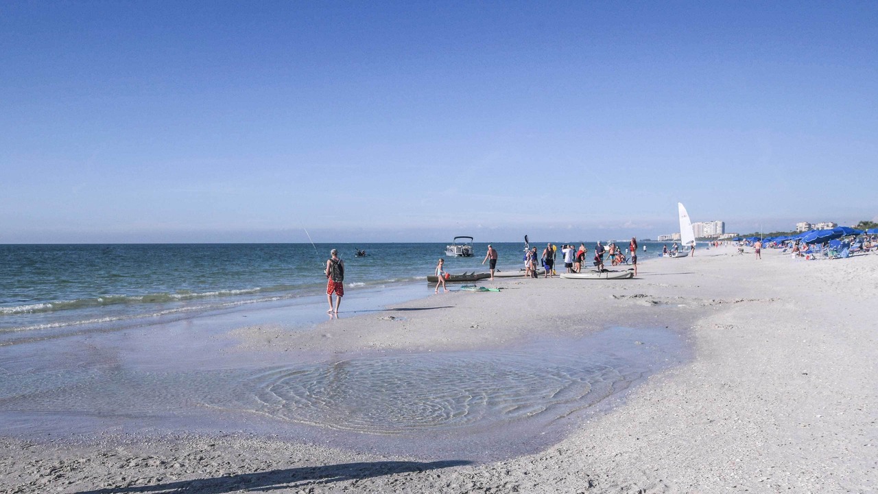 Photo of Others in Pelican Bay