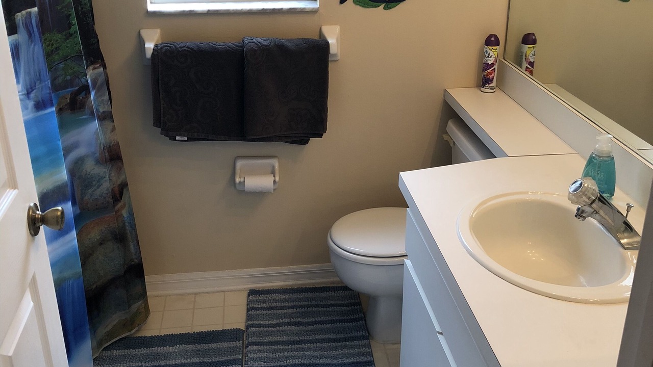 Photo of Bathroom in Palm Harbor