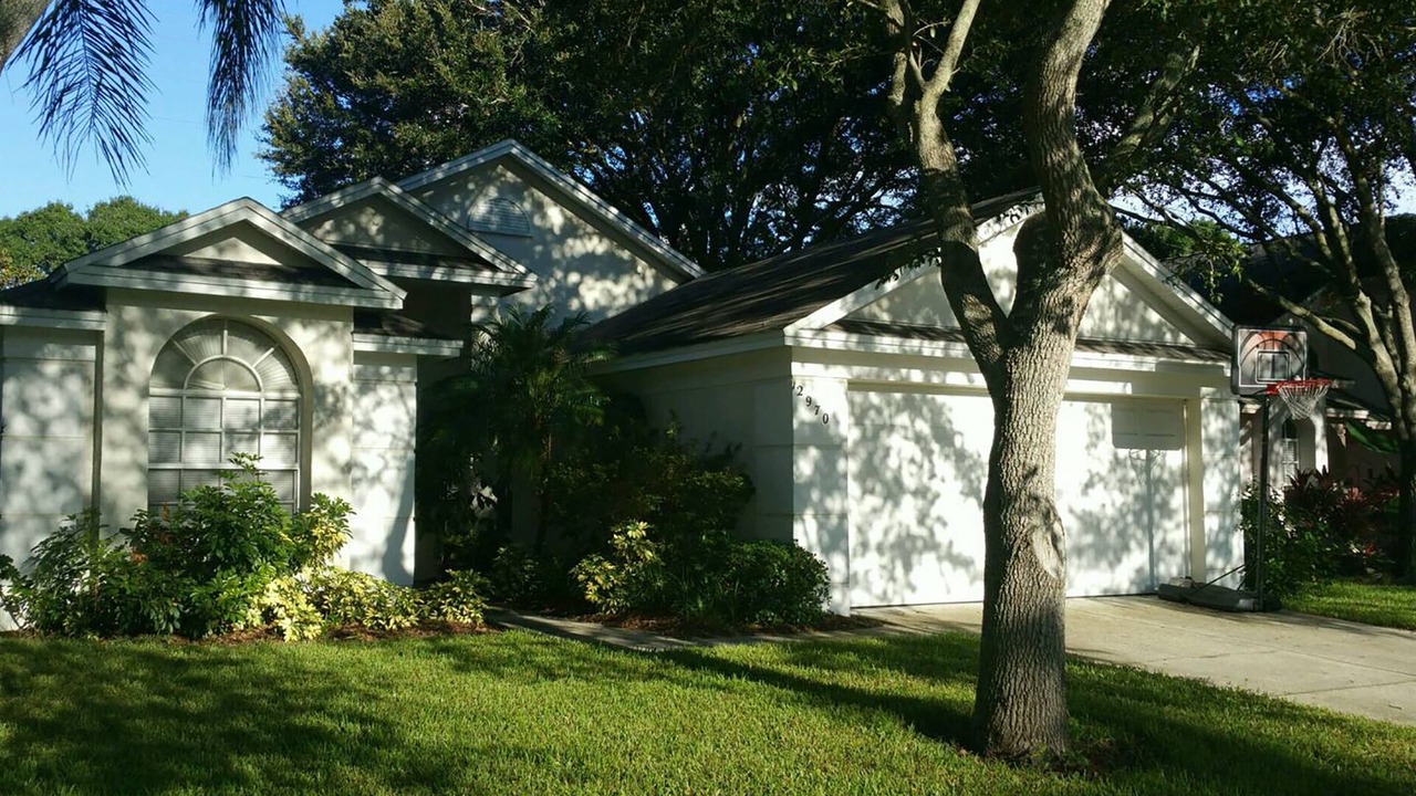 Photo of Others in Palm Harbor