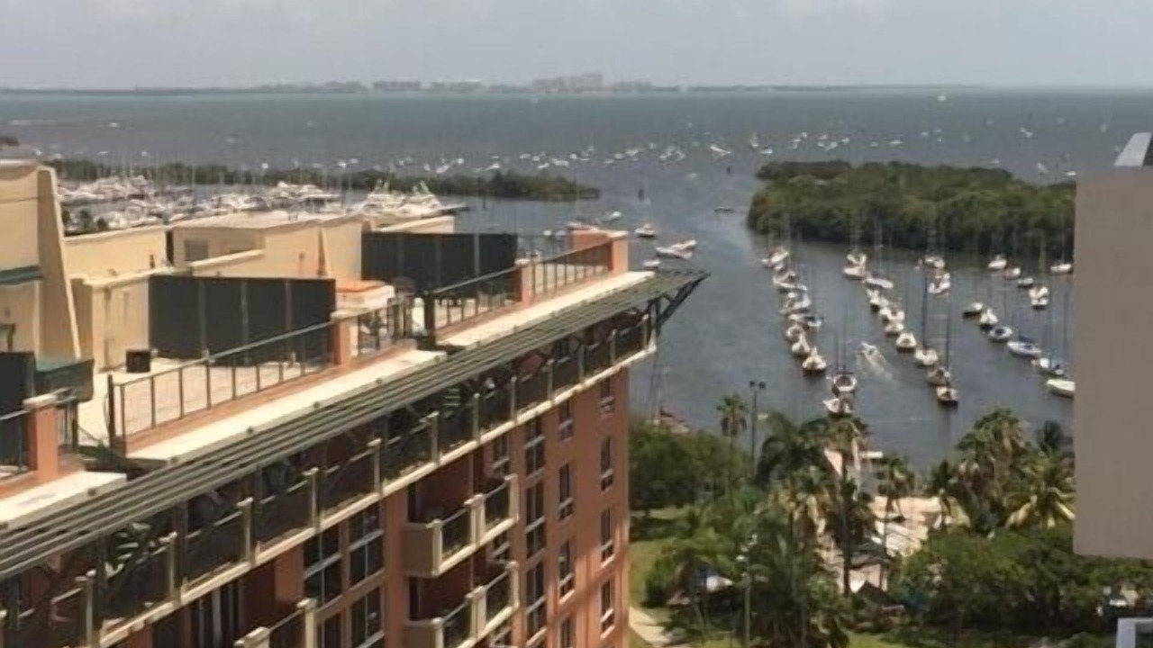 Photo of Patio Balcony in Coconut Grove