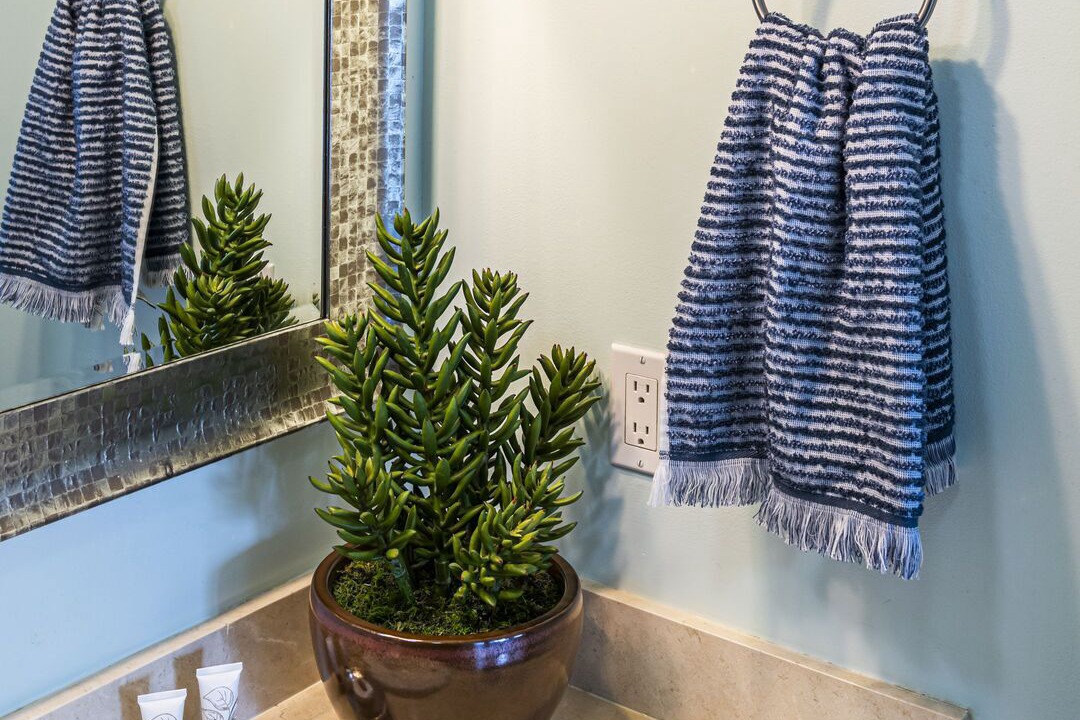 Photo of Bathroom in Coconut Grove
