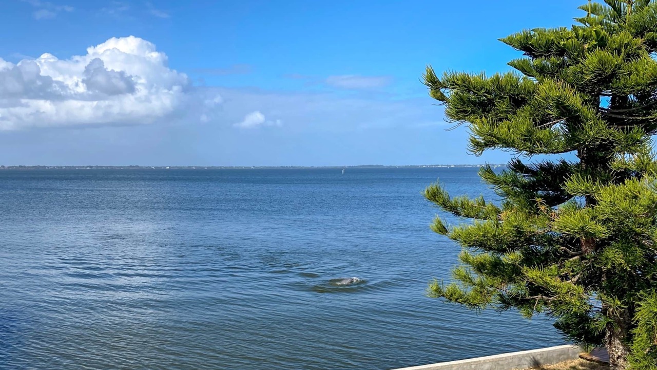 Photo of Others in Crescent Beach