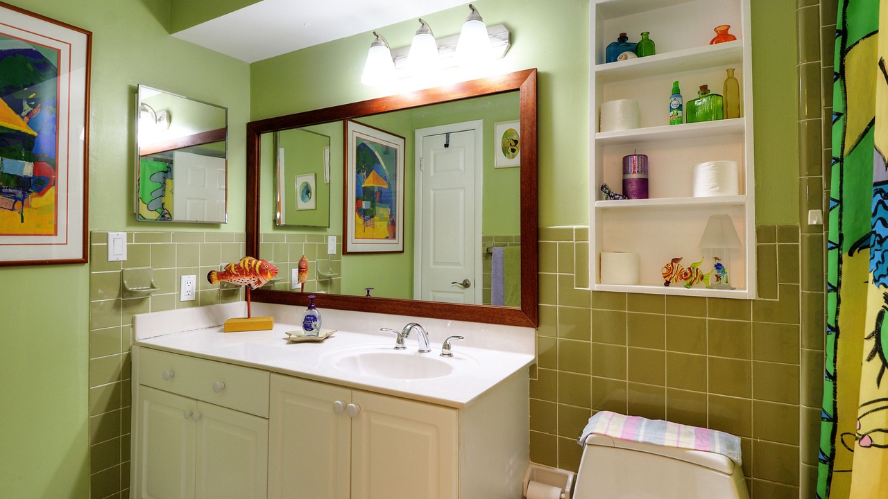 Photo of Bathroom in Safety Harbor