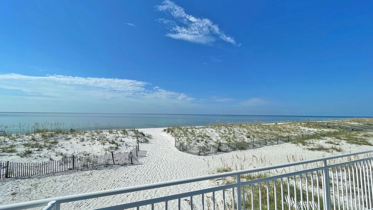Photo of Others in White Sands