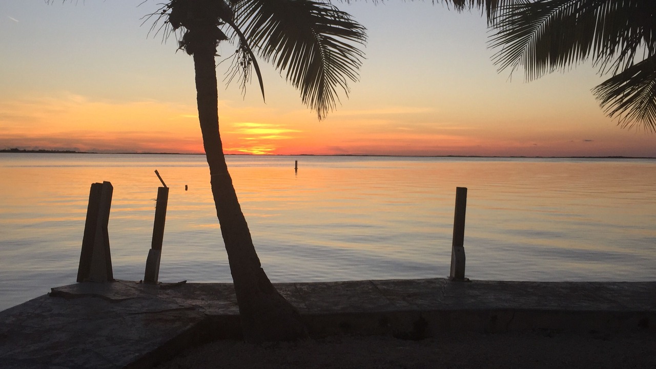 Photo of Others in Key Largo
