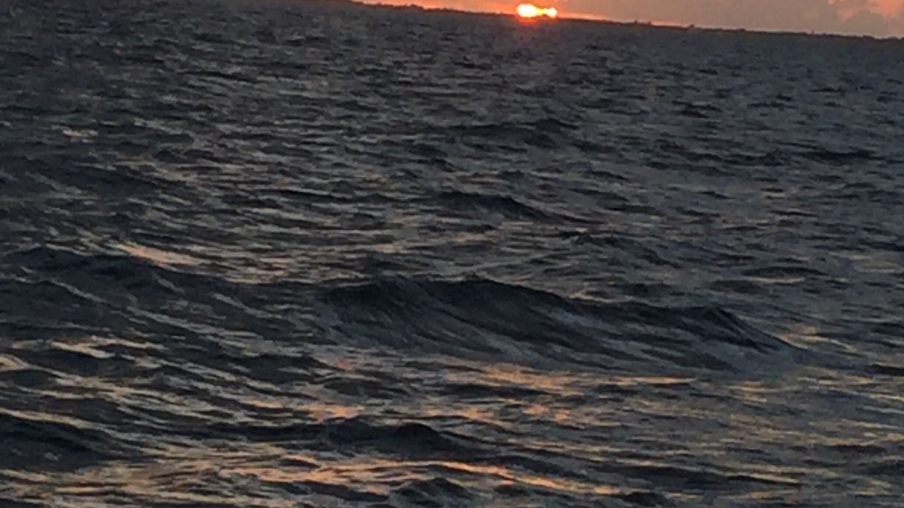 Photo of Others in Key Largo