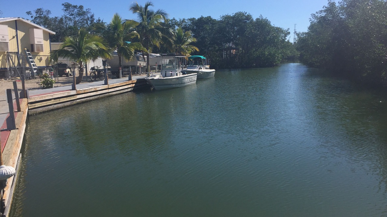 Photo of Others in Key Largo