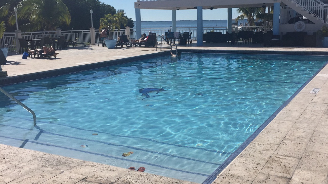 Photo of Outdoor in Key Largo