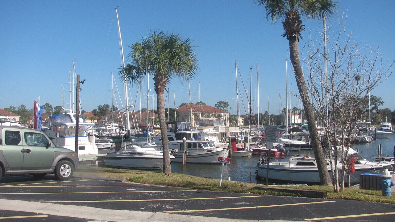 Photo of Others in Palm Harbor