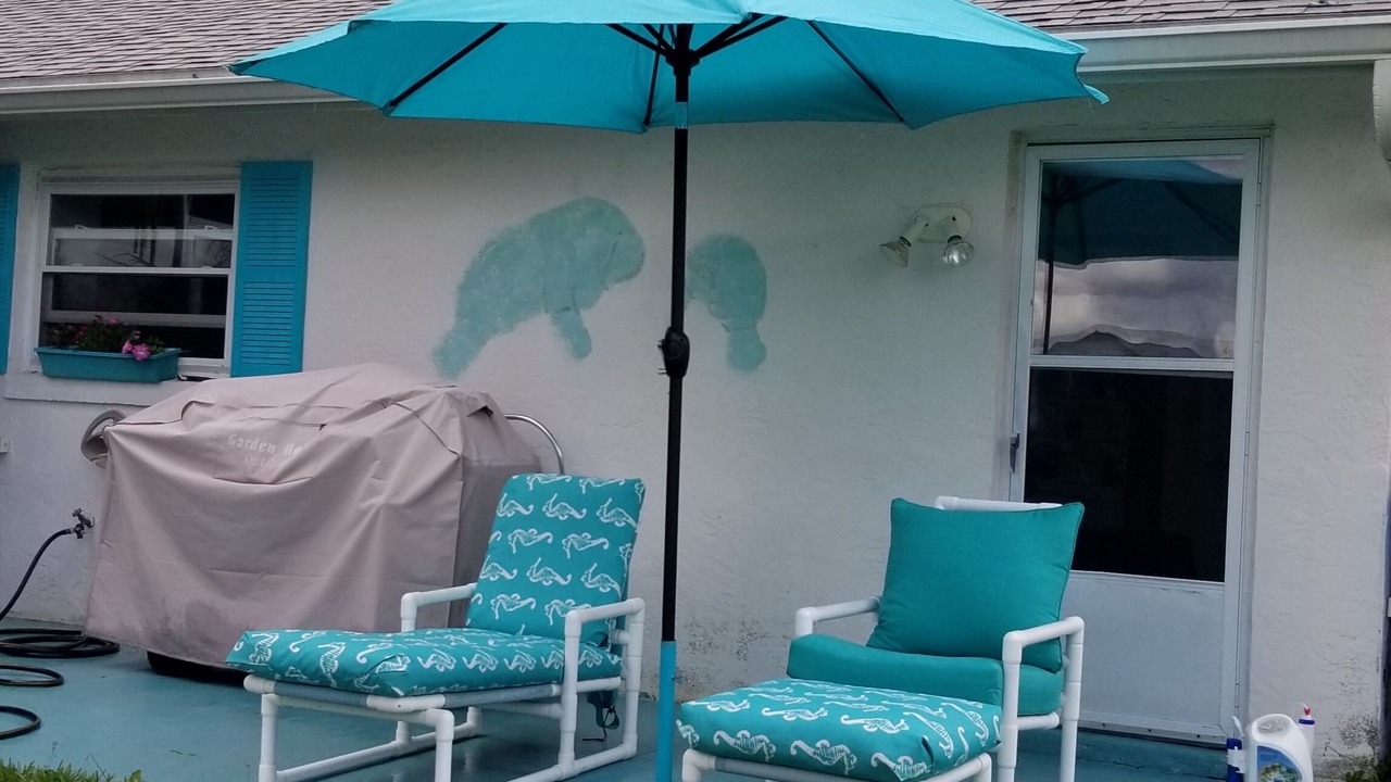 Photo of Others in Palm Harbor