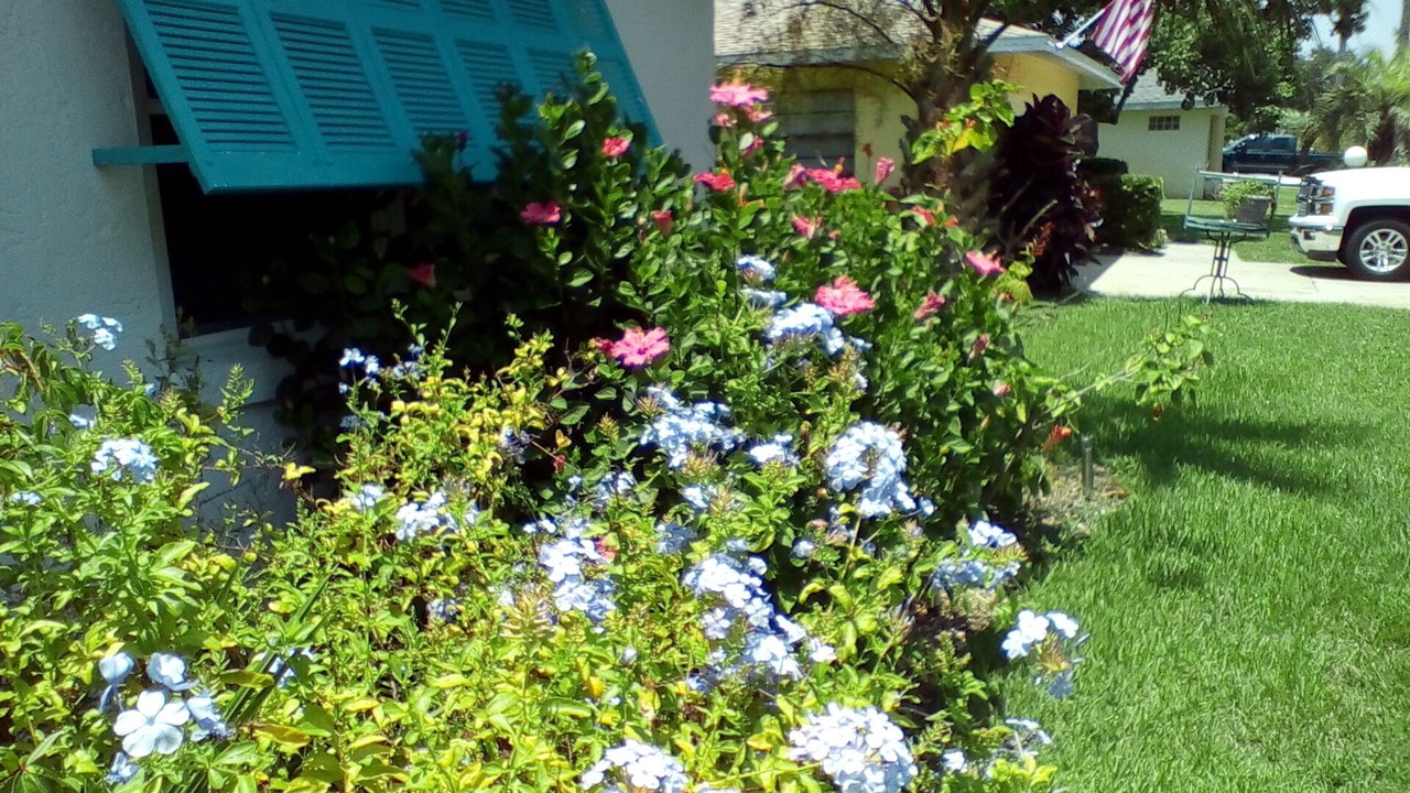 Photo of Outdoor in Palm Harbor