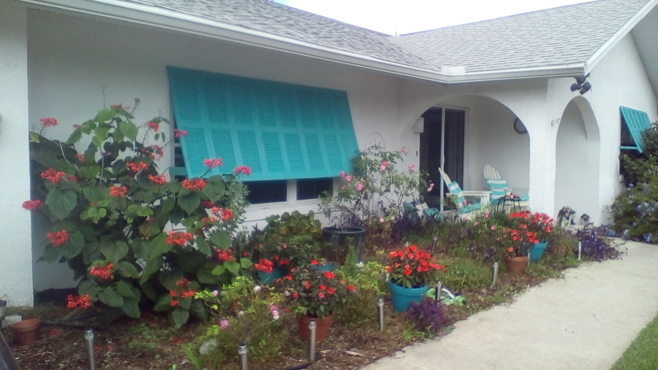 Photo of Outdoor in Palm Harbor