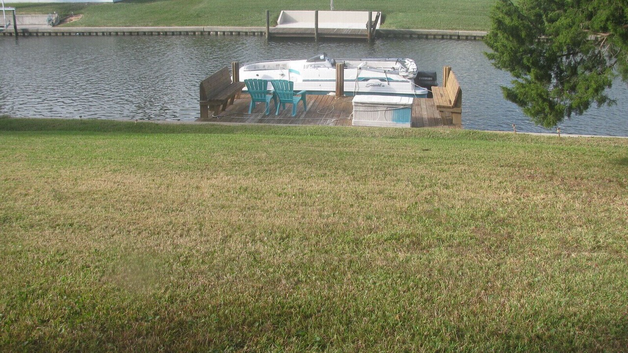 Photo of Outdoor in Palm Harbor