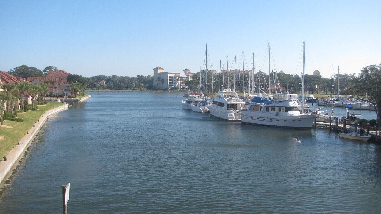Photo of Others in Palm Harbor