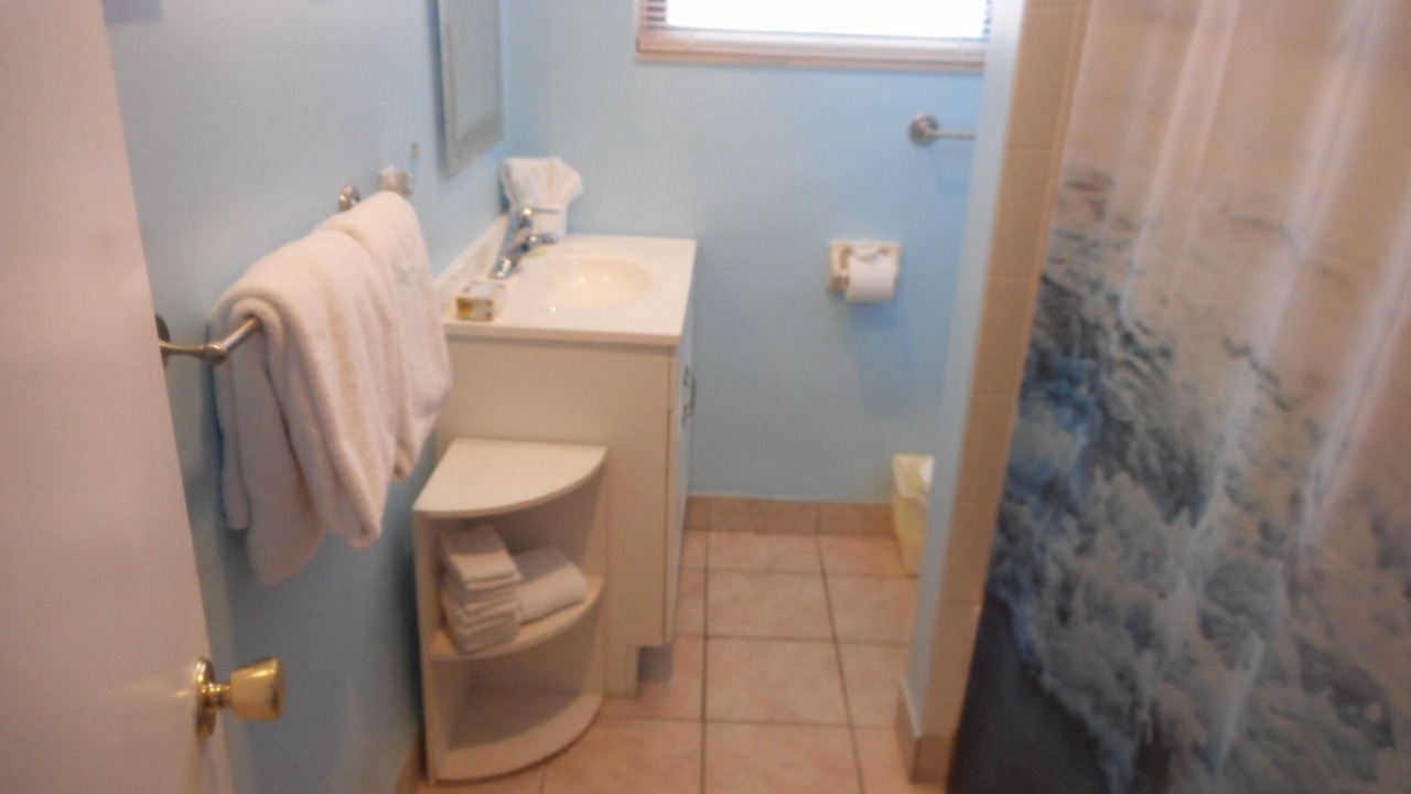 Photo of Bathroom in St. Pete Beach