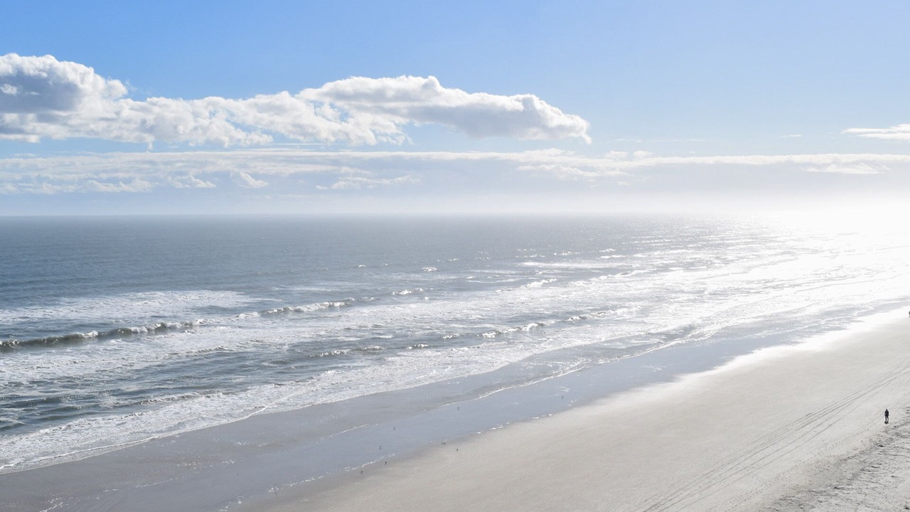 Photo of Others in Daytona Beach Shores