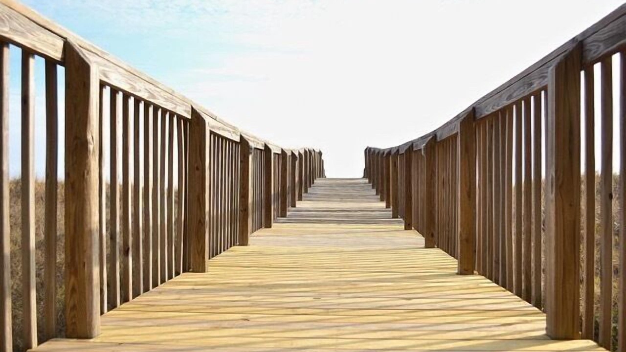 Photo of Others in Dauphin Island