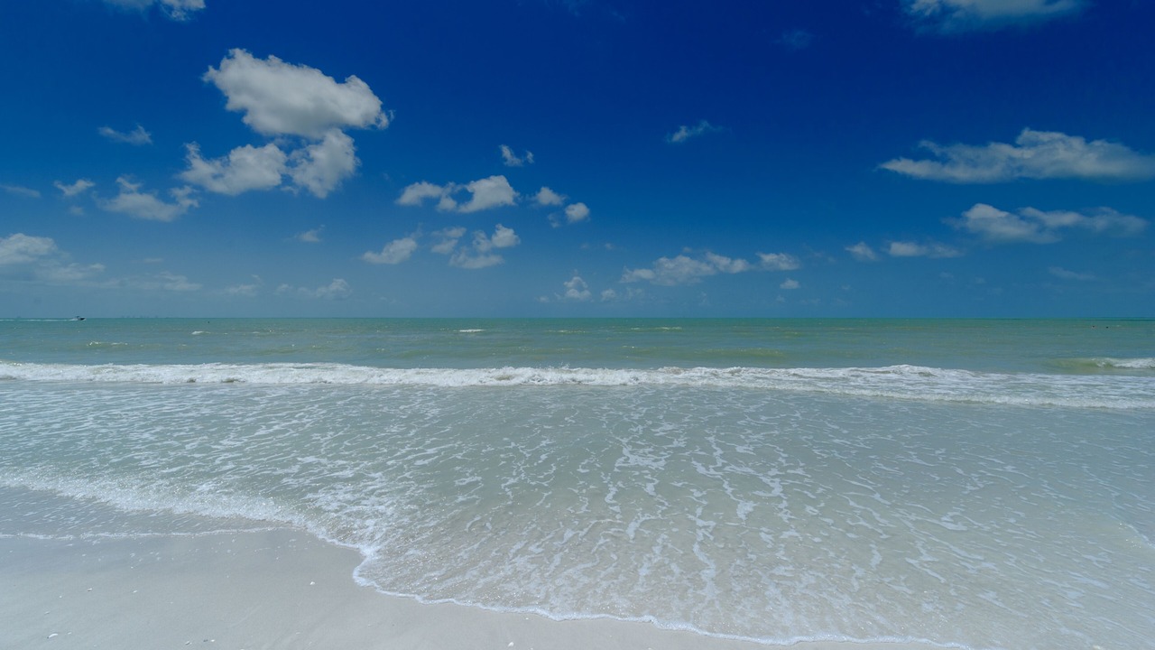 Photo of Others in Sanibel