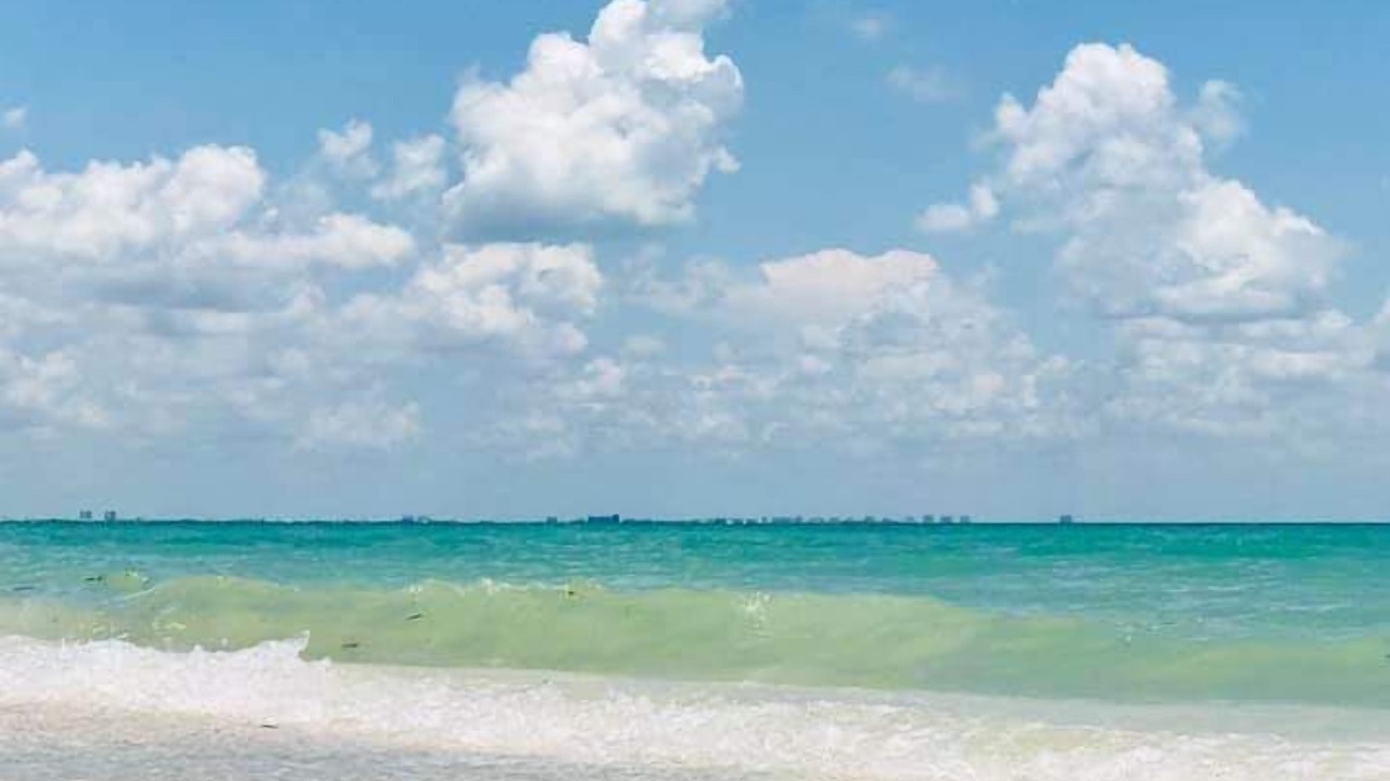 Photo of Others in Sanibel
