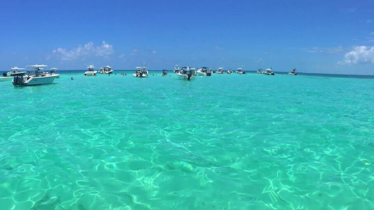 Photo of Others in Key Largo