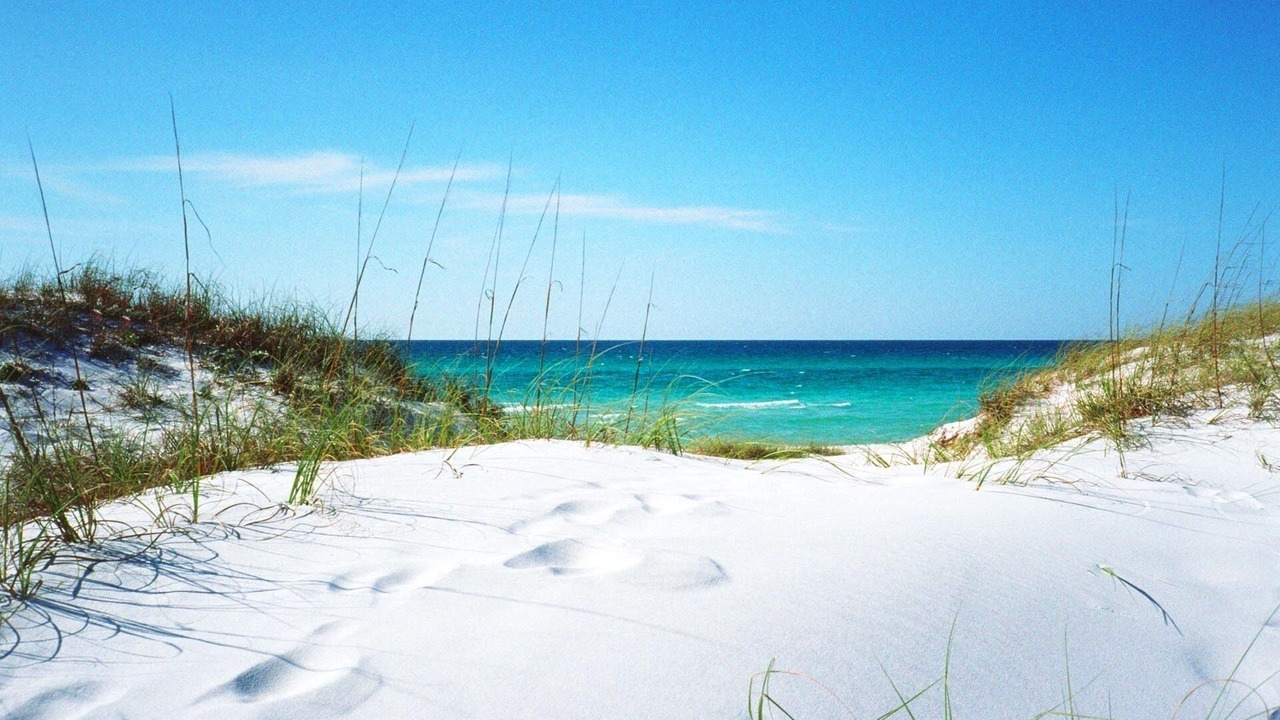 Photo of Others in Fort Walton Beach