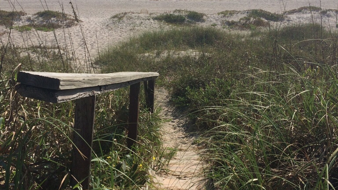 Photo of Others in Indialantic By The Sea