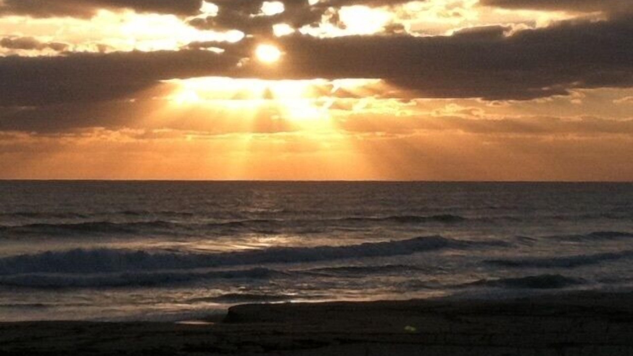 Photo of Others in Indialantic By The Sea