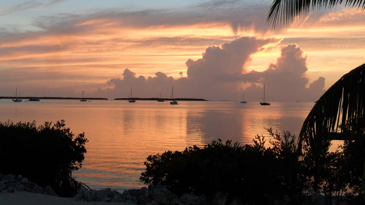 Photo of Others in Islamorada