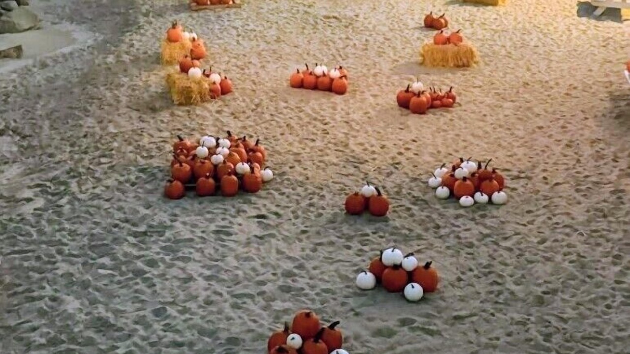 Photo of Others in North Carolina Coast