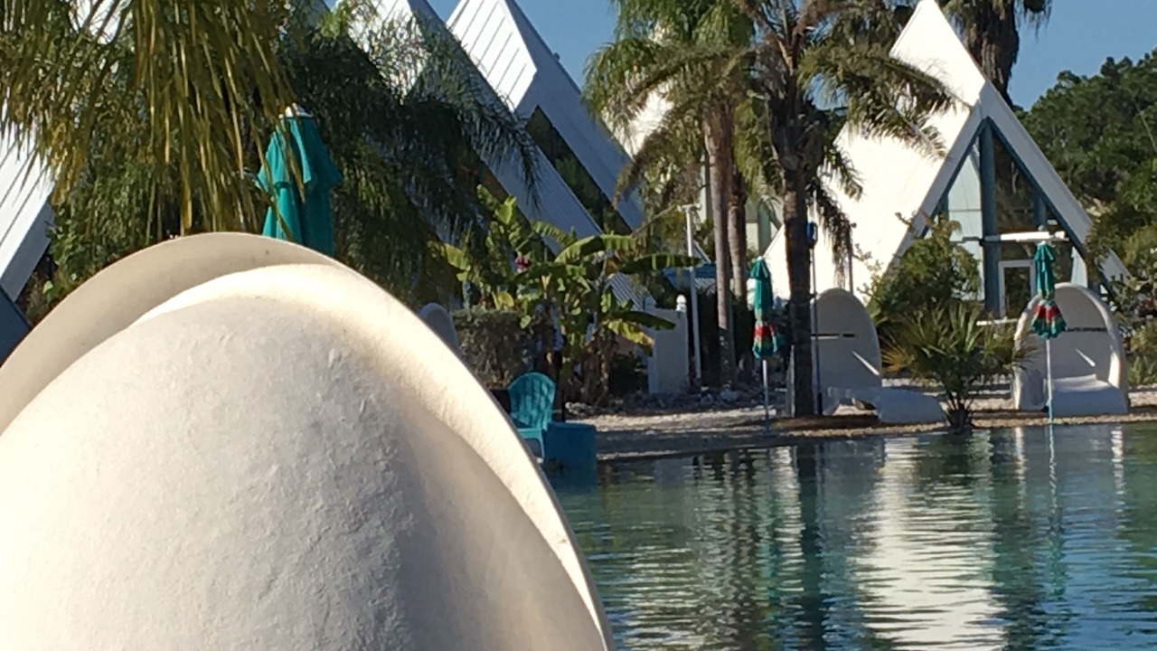 Photo of Outdoor in San Carlos Park