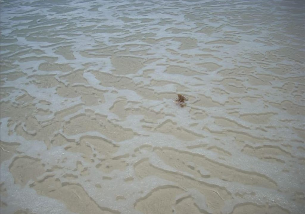 Photo of Bedroom in Pensacola Beach