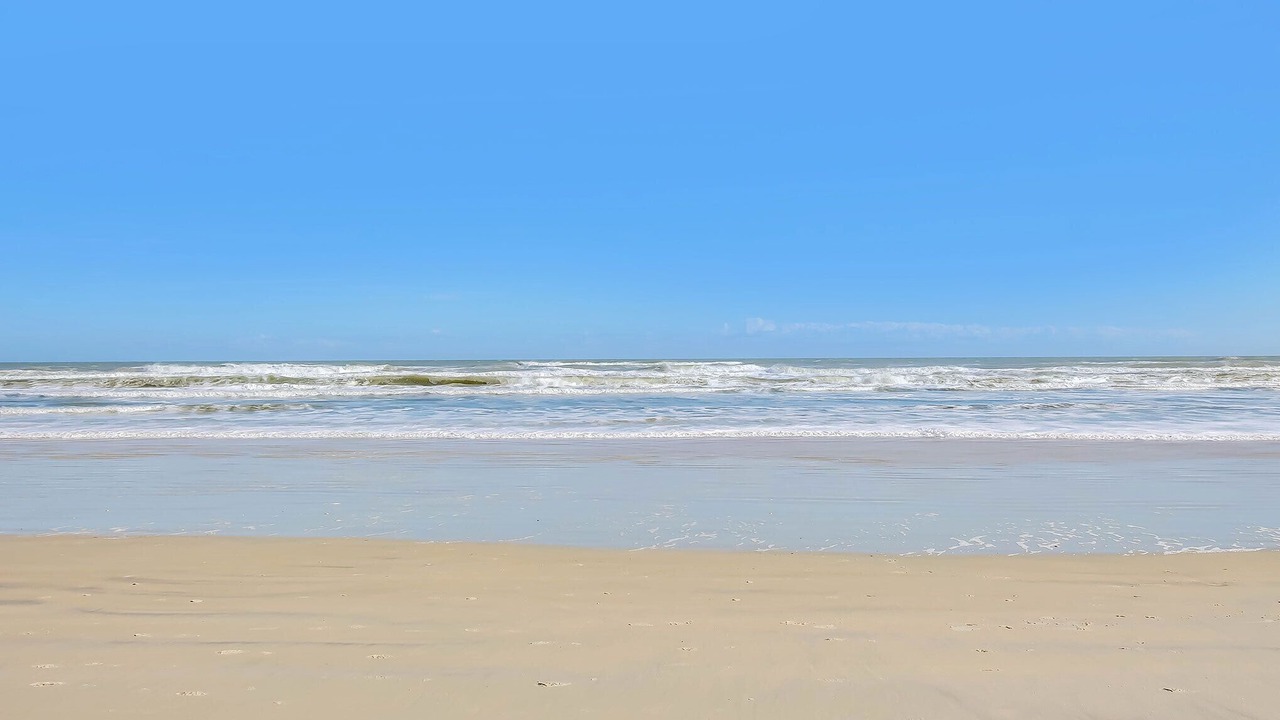 Photo of Others in Daytona Beach