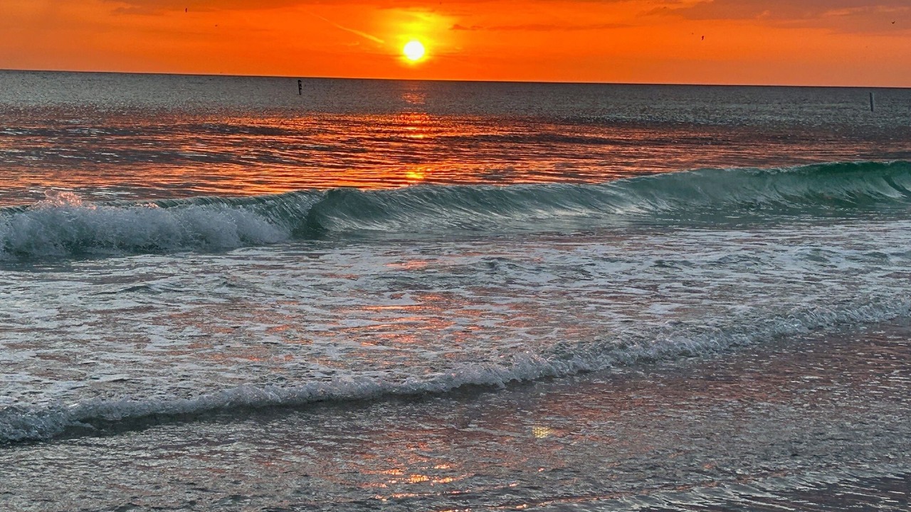 Photo of Others in Bradenton Beach