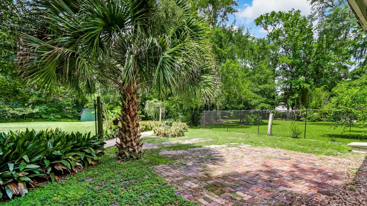 Photo of Others in Orange Park