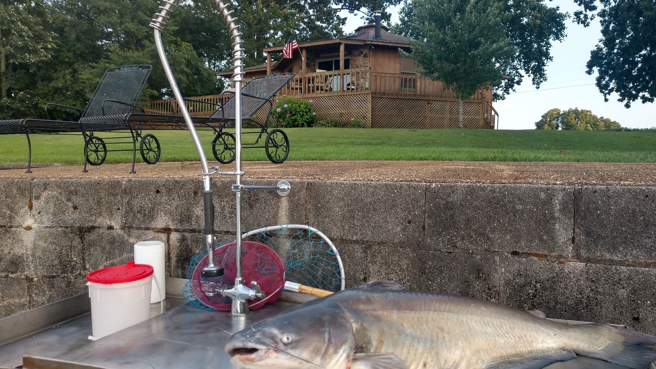 Photo of Outdoor in Rogersville