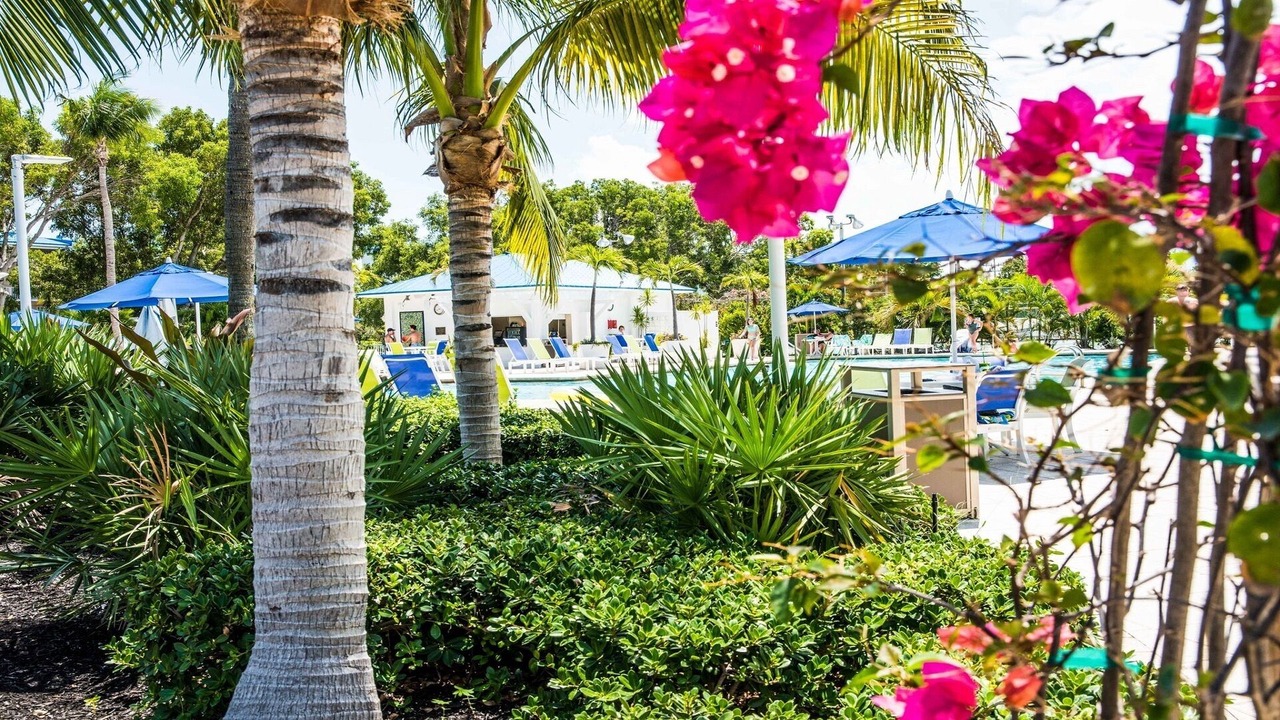 Photo of Outdoor in Tavernier