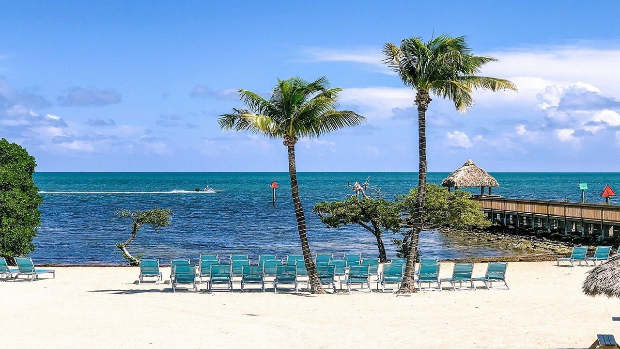 Photo of Others in Tavernier