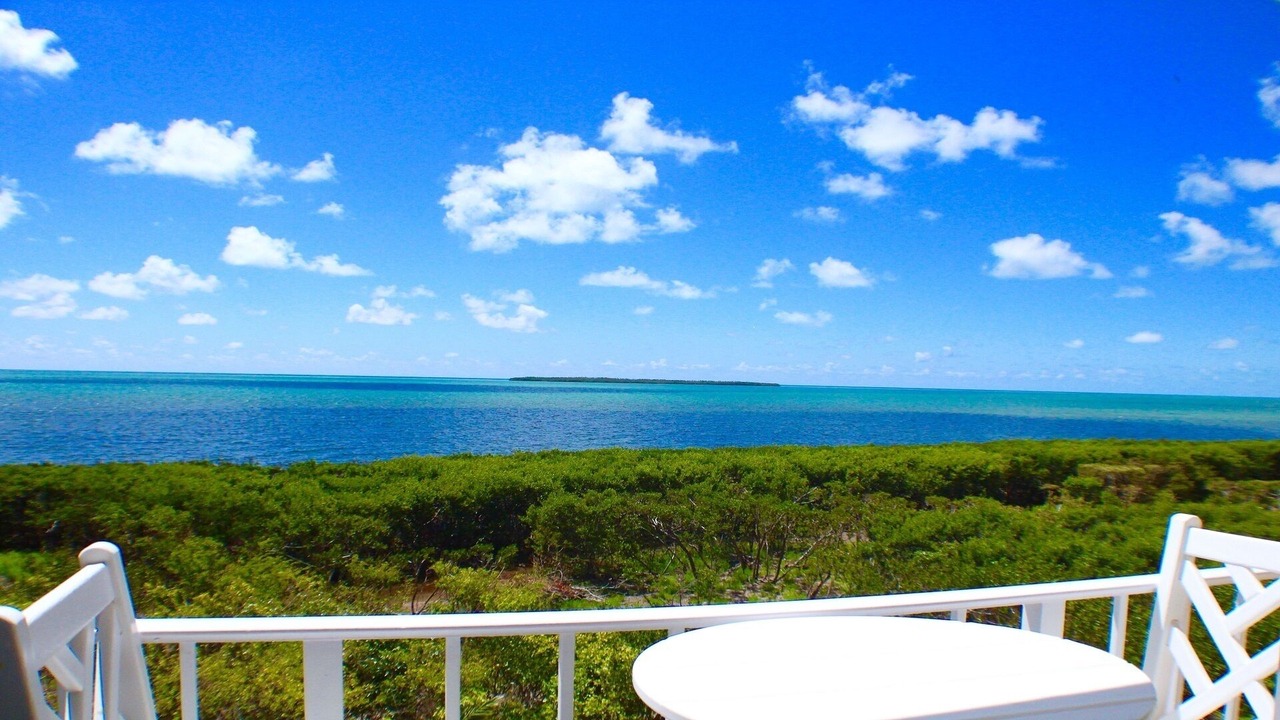 Photo of Others in Tavernier