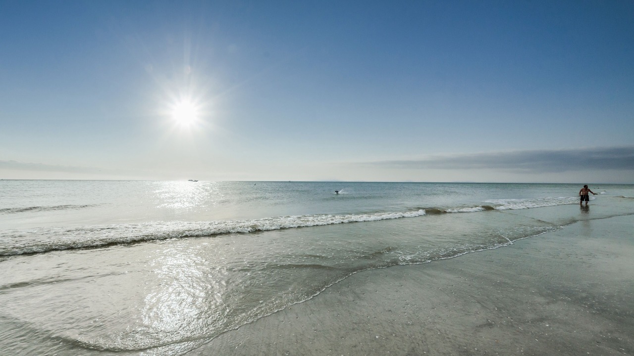 Photo of Others in Redington Shores