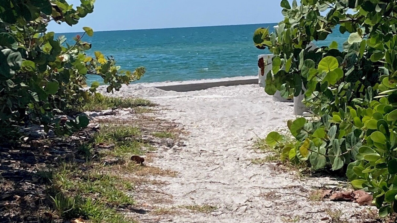 Photo of Others in Englewood