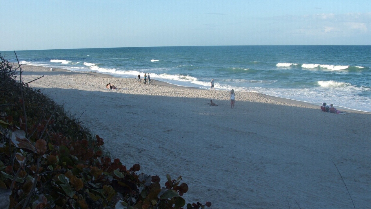 Photo of Others in Ocean Side Village