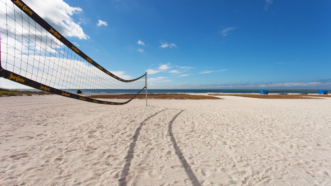 Photo of Others in Indian Shores